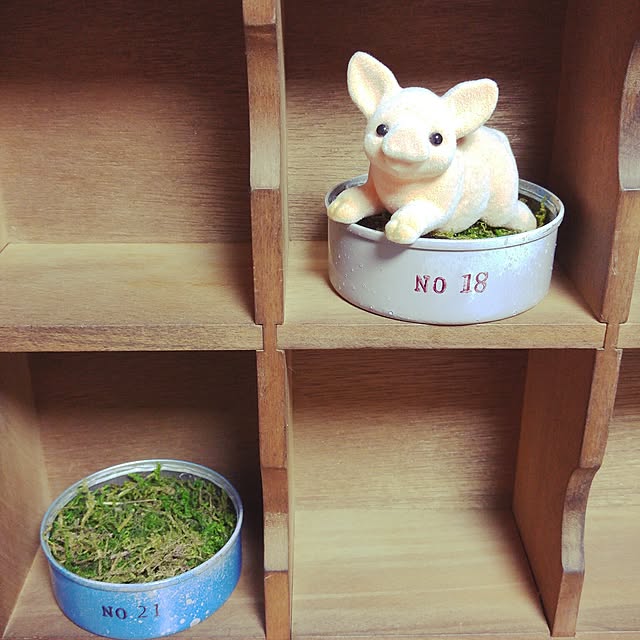 ayumaruさんの実例写真