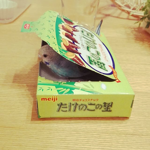 yukkieさんの実例写真