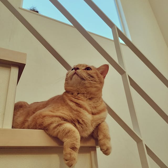 ayumiさんの部屋