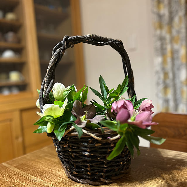 botanさんの実例写真
