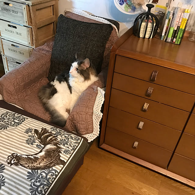 masakoさんの実例写真