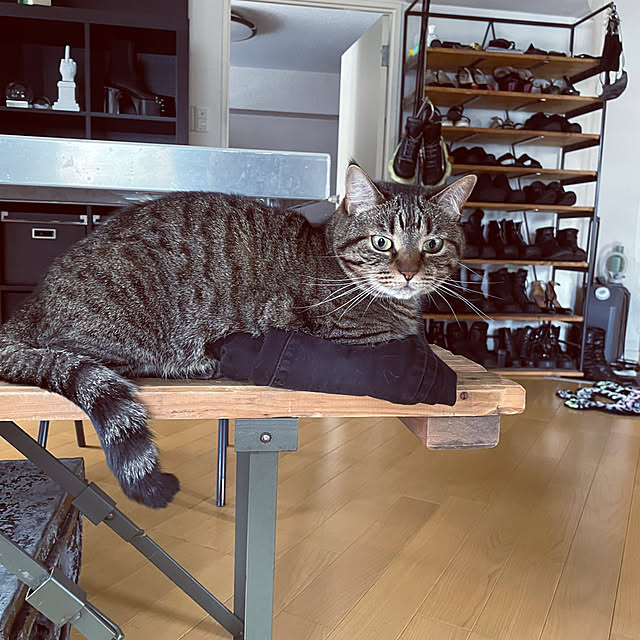chihiroさんの実例写真