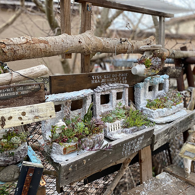 0103_eriさんの実例写真