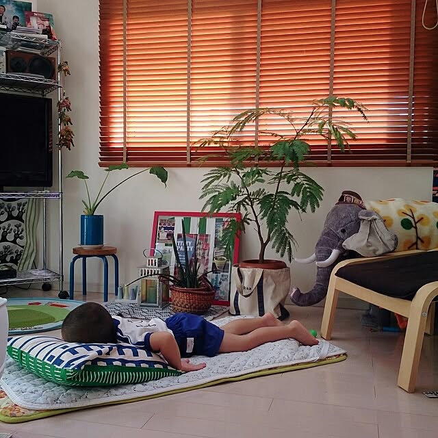 urchinさんの実例写真