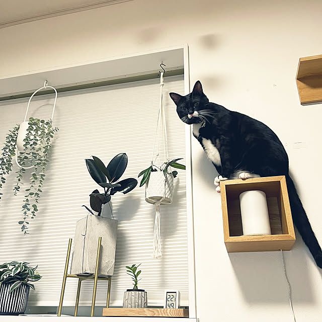 masamasaさんの部屋