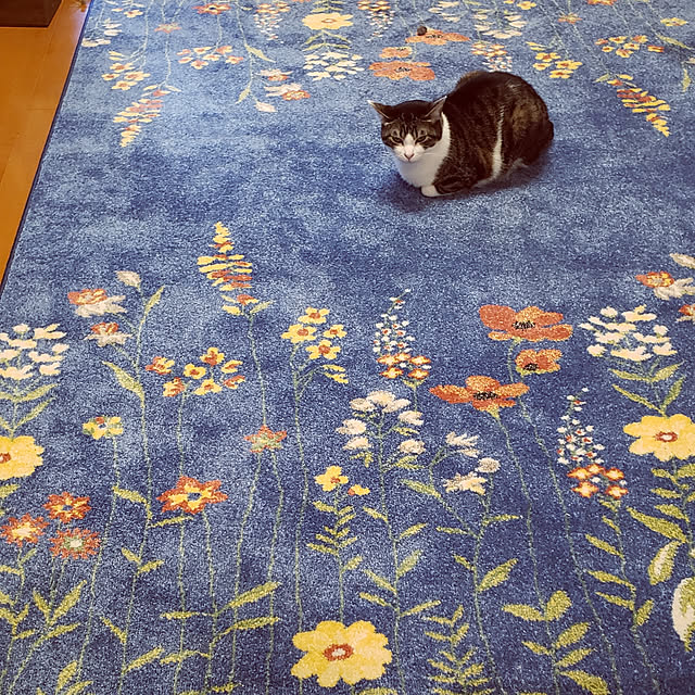pupupupu...さんの実例写真