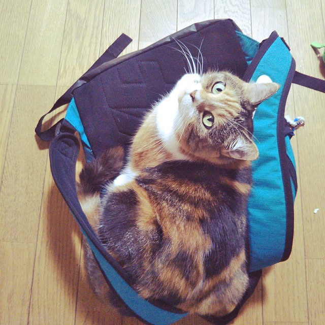 yukieさんの実例写真