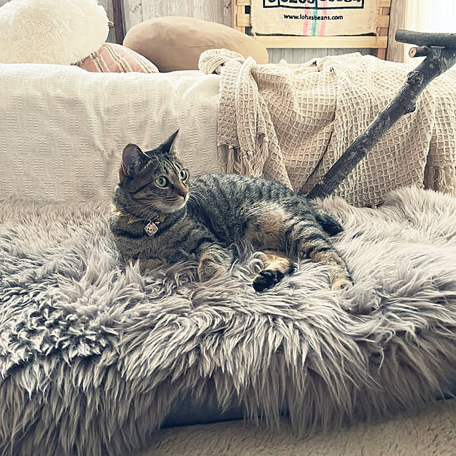 Mさんの実例写真