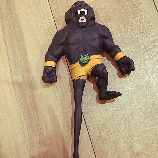 sinzowさんの実例写真