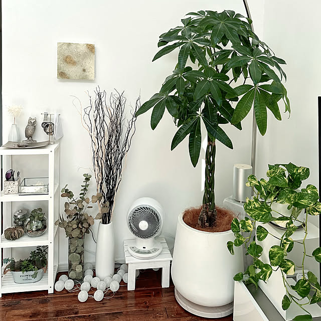 hanahana1444さんの部屋