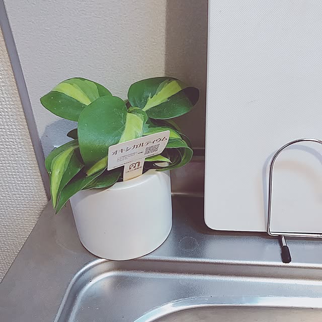 yuさんの実例写真