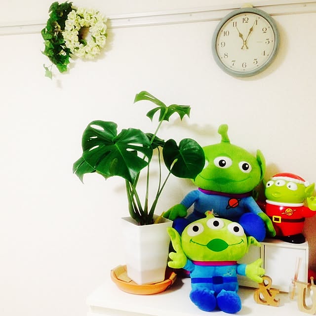 MiMiさんの実例写真