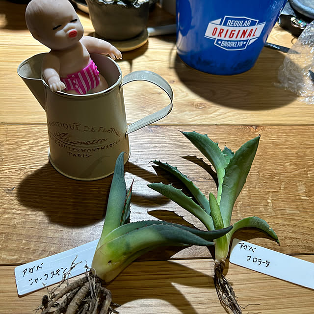 Rさんの部屋