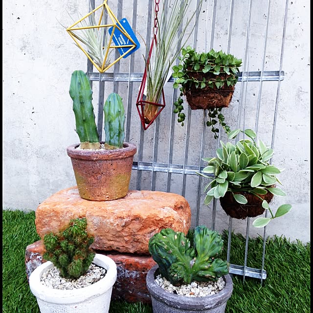 earthgreenさんの実例写真