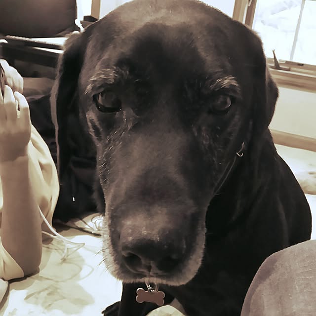 ohisamaさんの実例写真