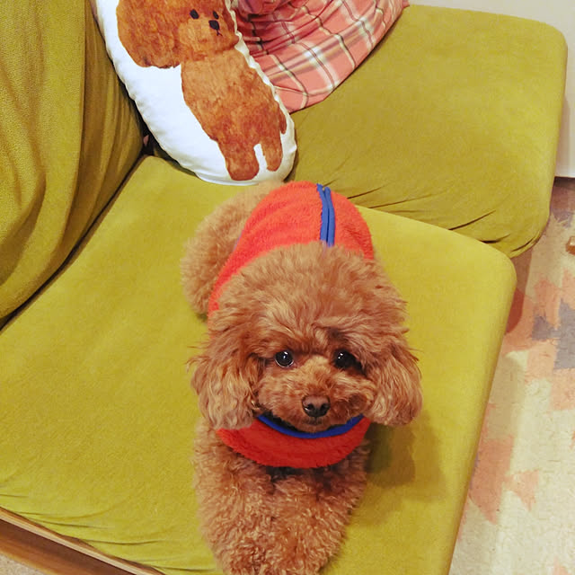 HANAさんの実例写真