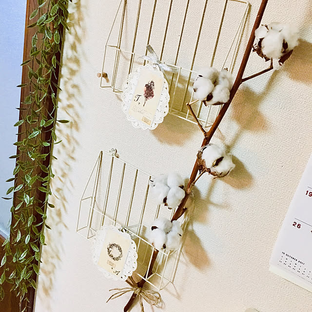 onechiさんの実例写真