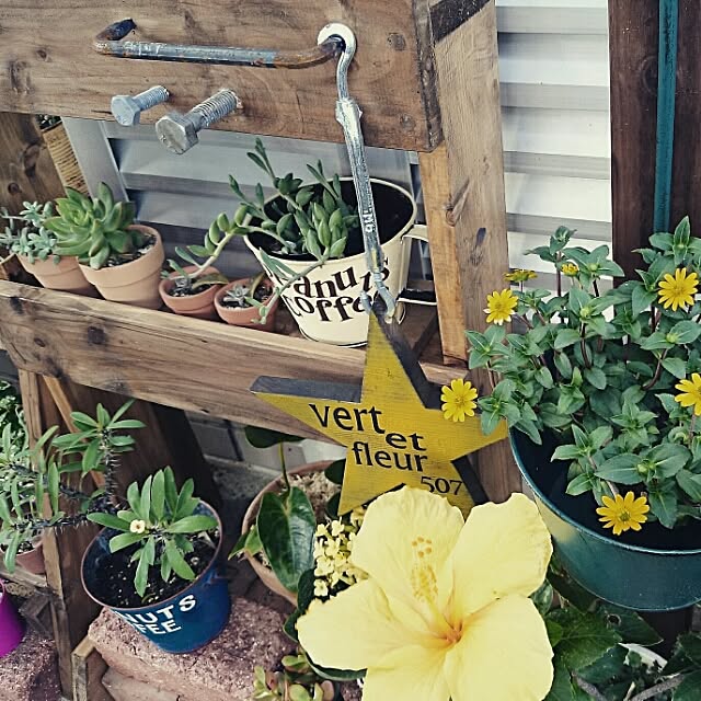 cafe-plageさんの実例写真