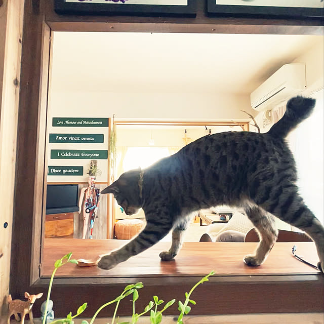 Mさんの実例写真