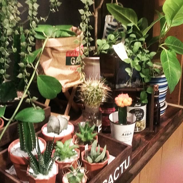 721さんの実例写真