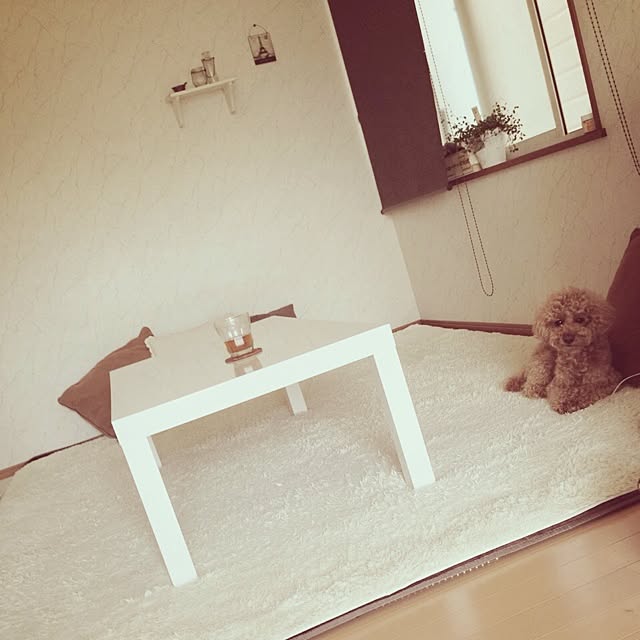 rookuさんの実例写真