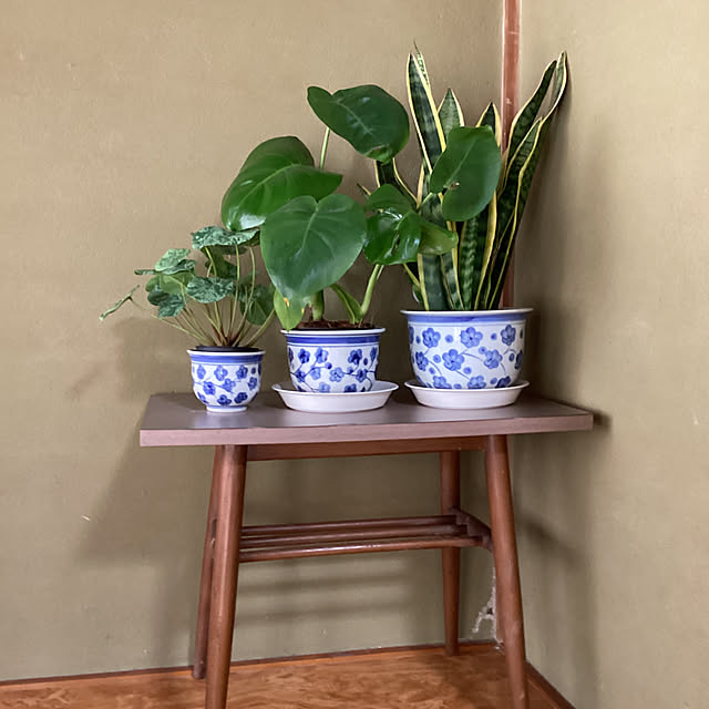 conatuさんの実例写真