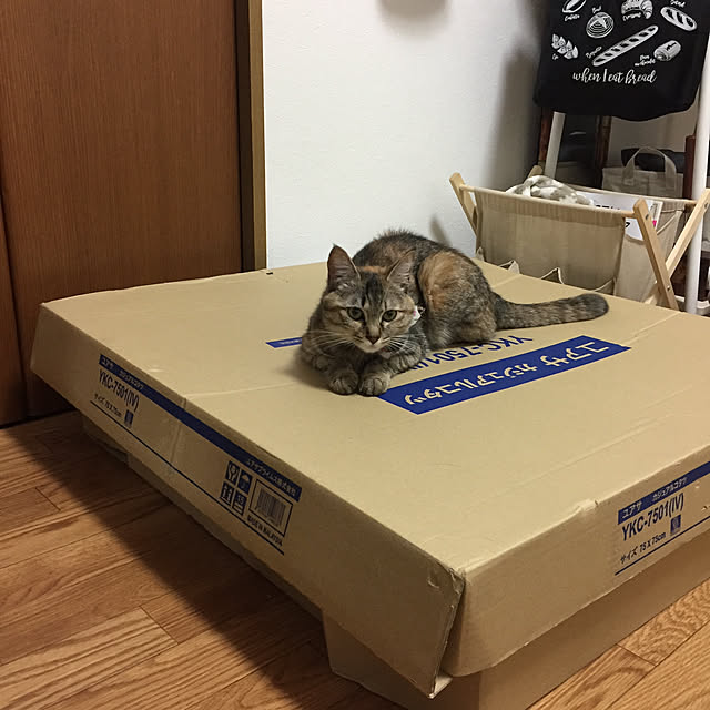 yuucharopiさんの実例写真