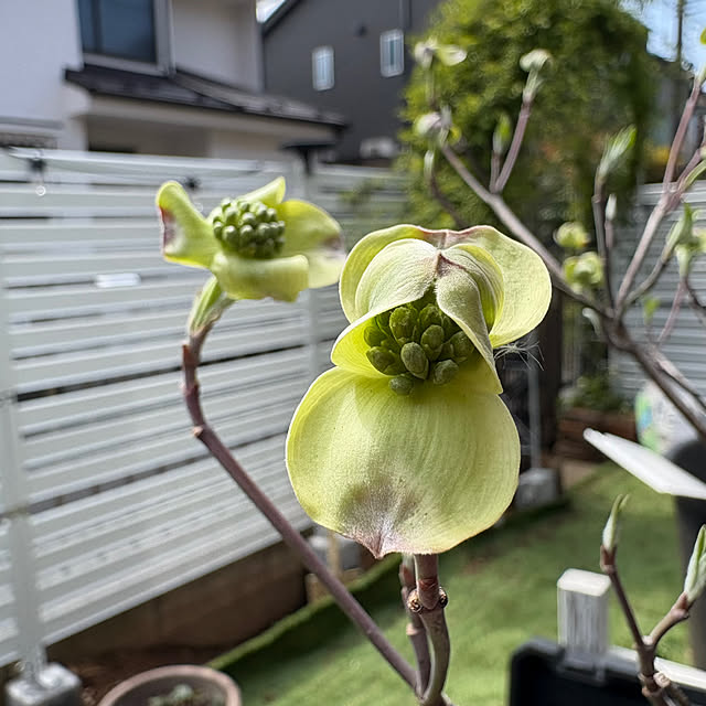onokenkoさんの部屋