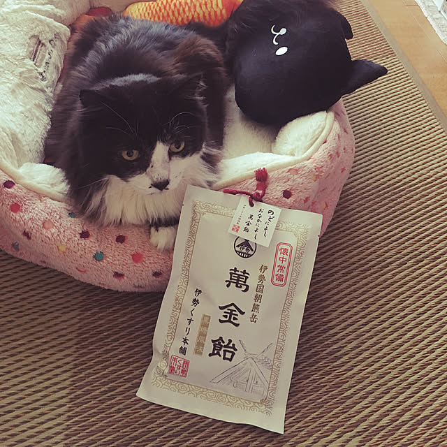 kanaさんの実例写真
