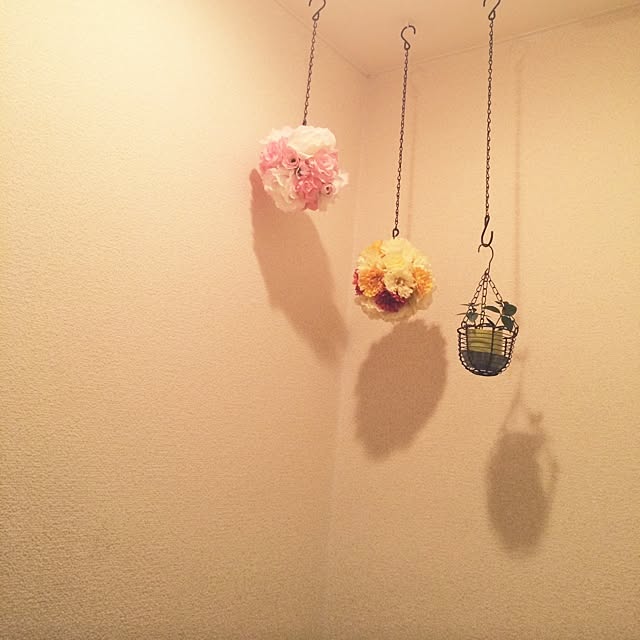 nissyiさんの実例写真