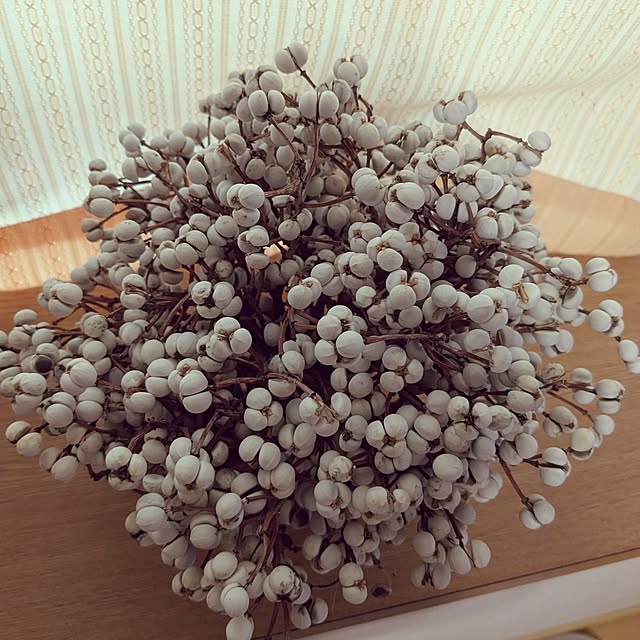 kouheiyuto24623takaさんの部屋