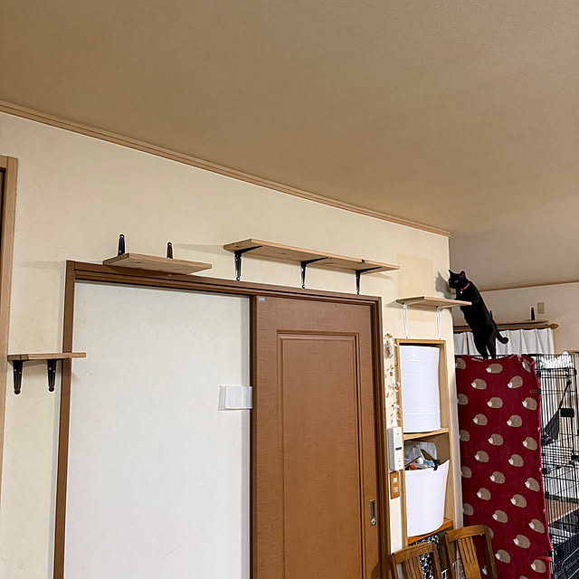 prelumoさんの部屋