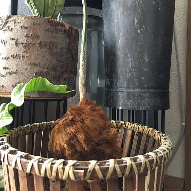 kasumiさんの実例写真
