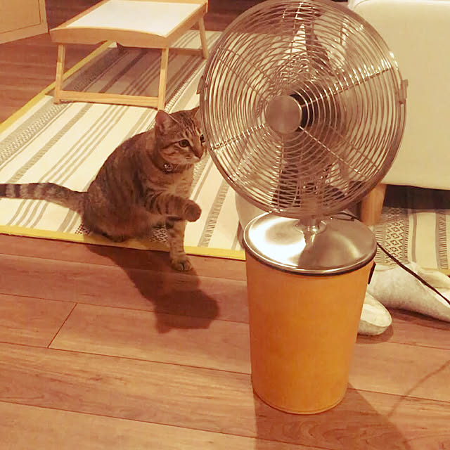 chamaさんの実例写真