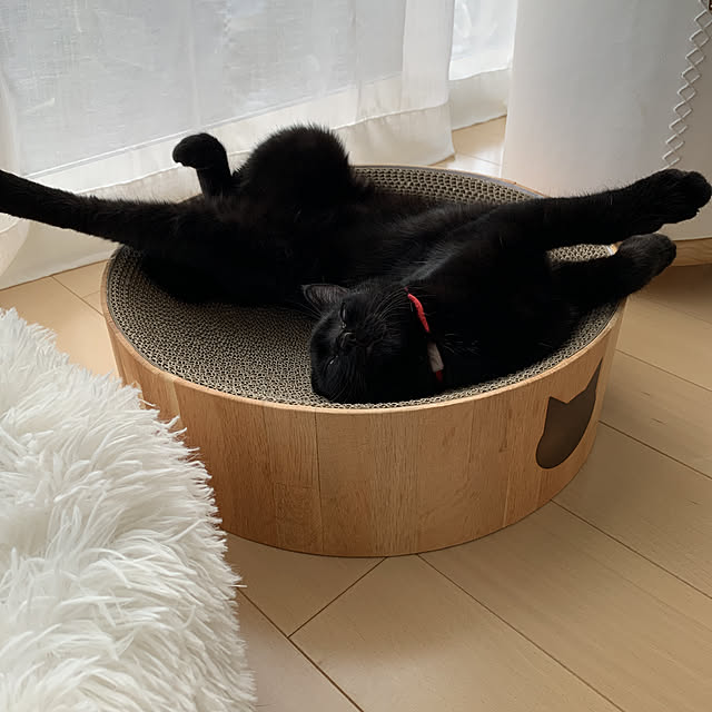 bluemoonさんの実例写真