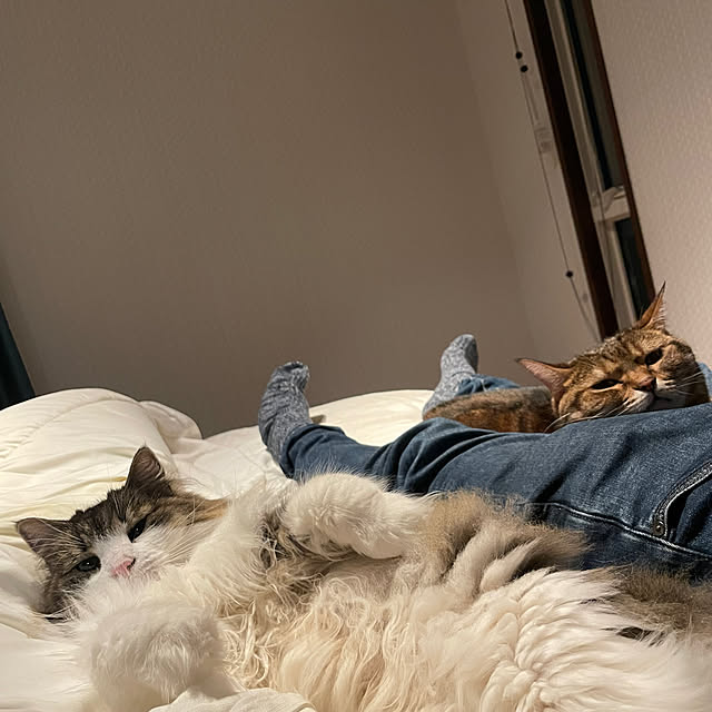 yさんの実例写真