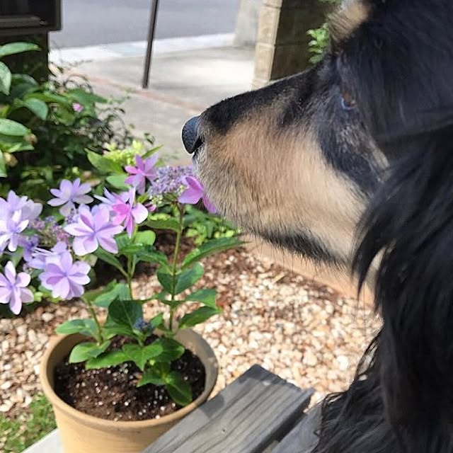 kko1208さんの実例写真