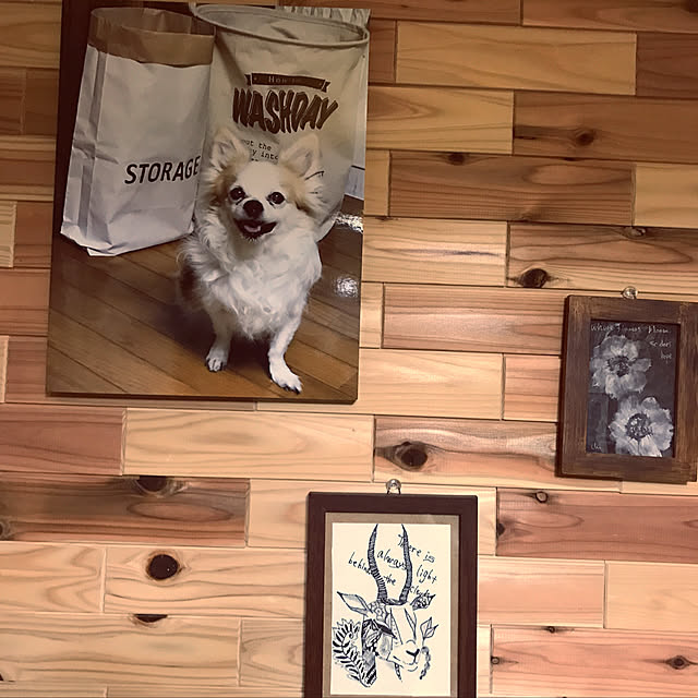 seroriさんの実例写真