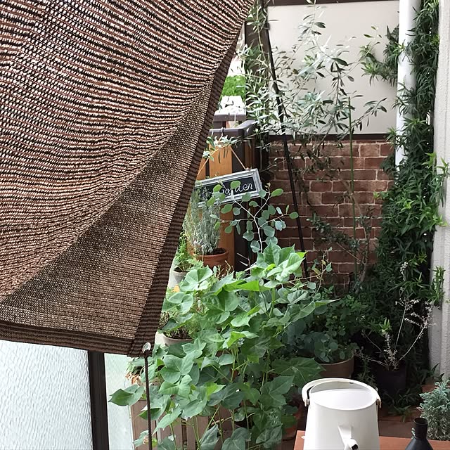Hisayoさんの実例写真