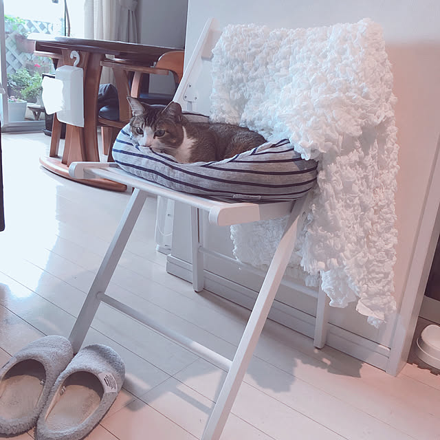 nekomiさんの実例写真