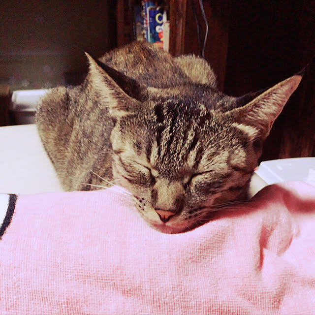 ema_panさんの実例写真