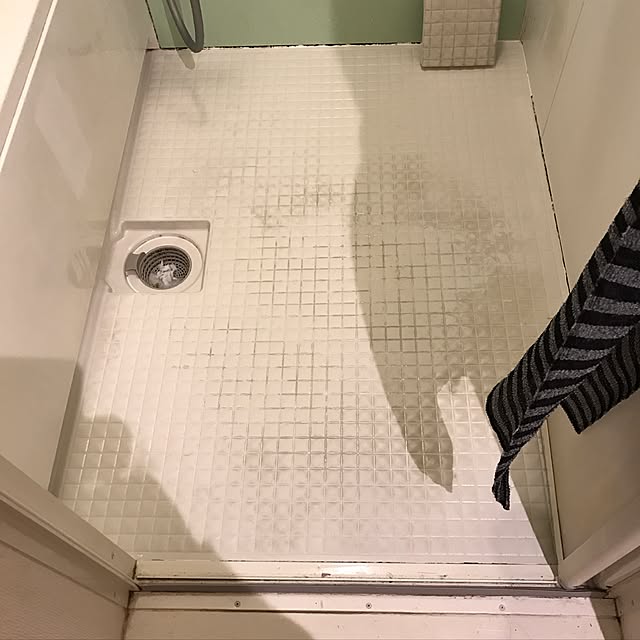 ranさんの実例写真