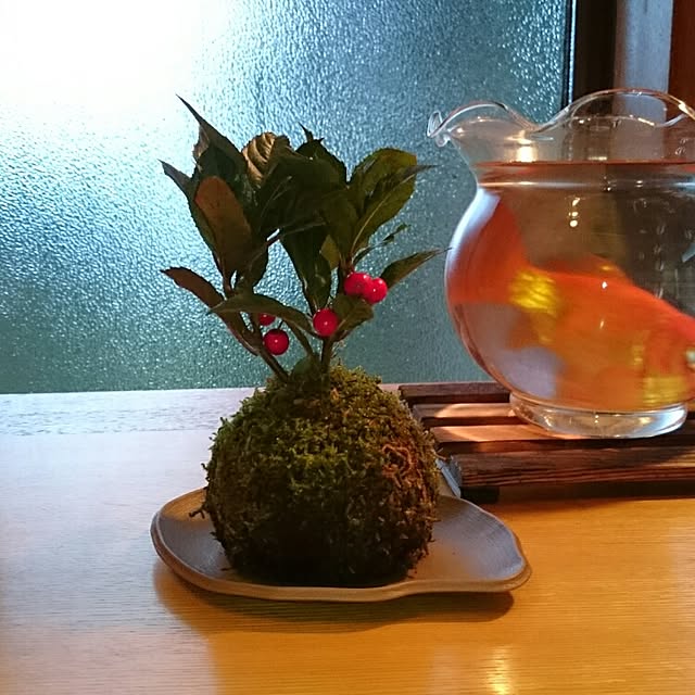 玄関/入り口のインテリア実例 - 2016-05-14 21:57:35