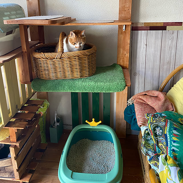 SHIHOさんの実例写真