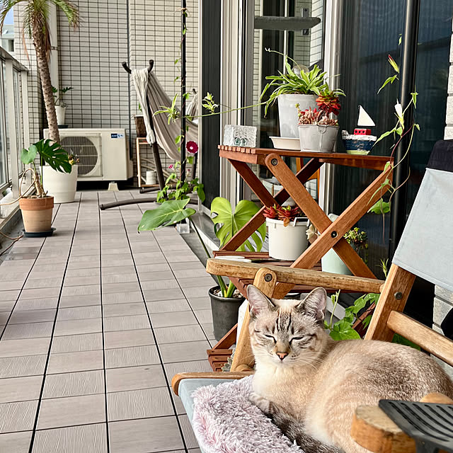 amさんの実例写真