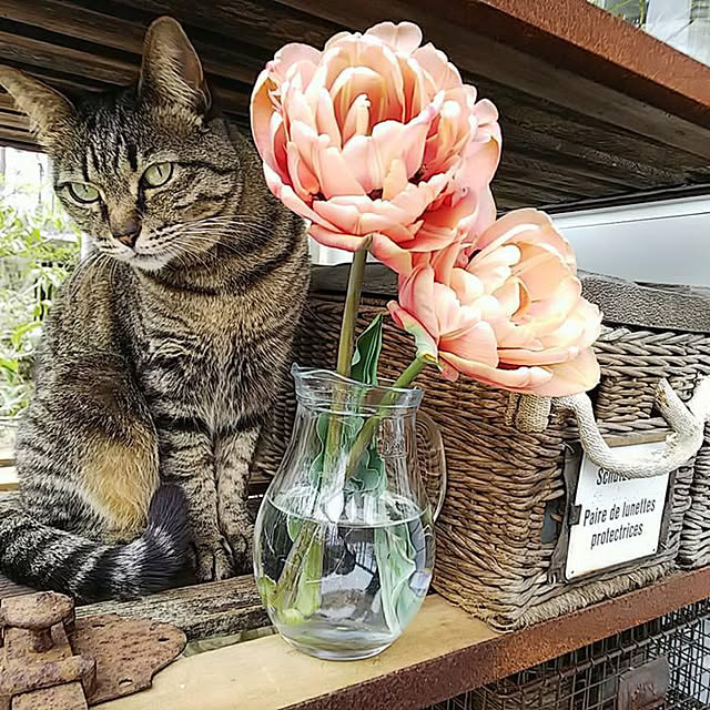 weさんの実例写真