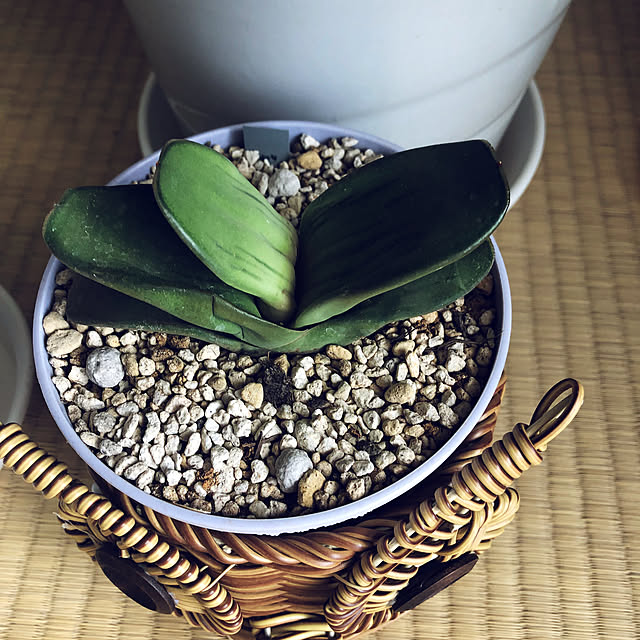 hanachanさんの部屋