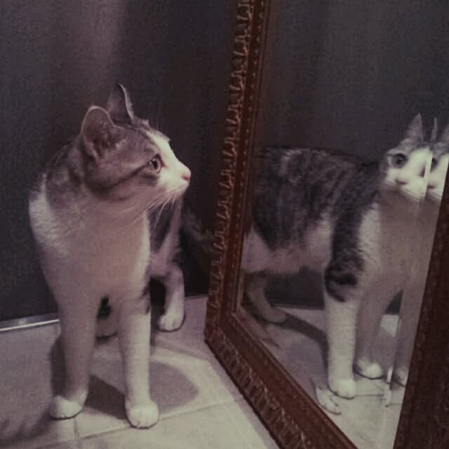 emmyyさんの実例写真