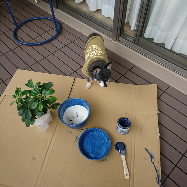 lovepeaceさんの実例写真