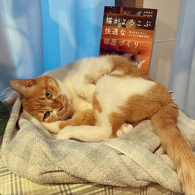 chakuron.iさんの実例写真